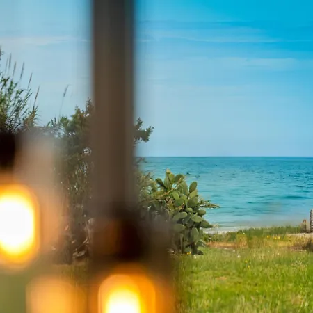 Willa Nahia Collection